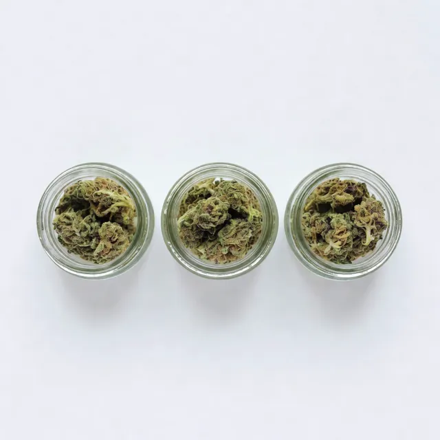 Indica sativa hybrid strains guide thumbnail